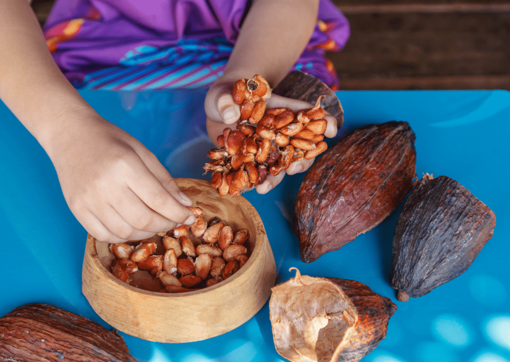 Jour 6 Atelier découverte du Cacao Lanquin